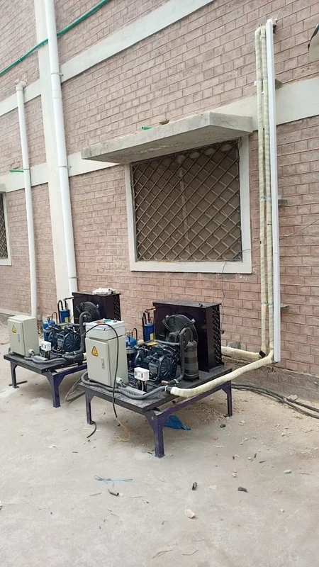 Bitzer plant diagnostics and industrial refrigeration maintenance