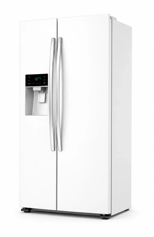 Non frost refrigerator repair and maintenance service